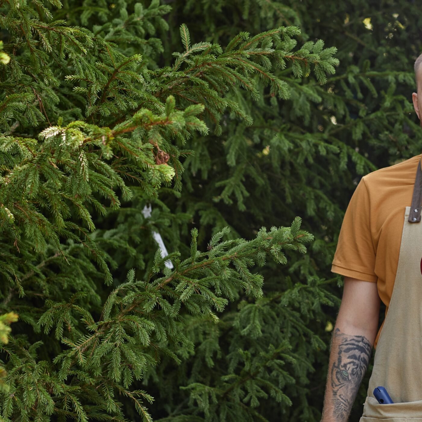 Gartenpflege & Service